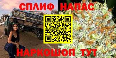 соль ск Можга