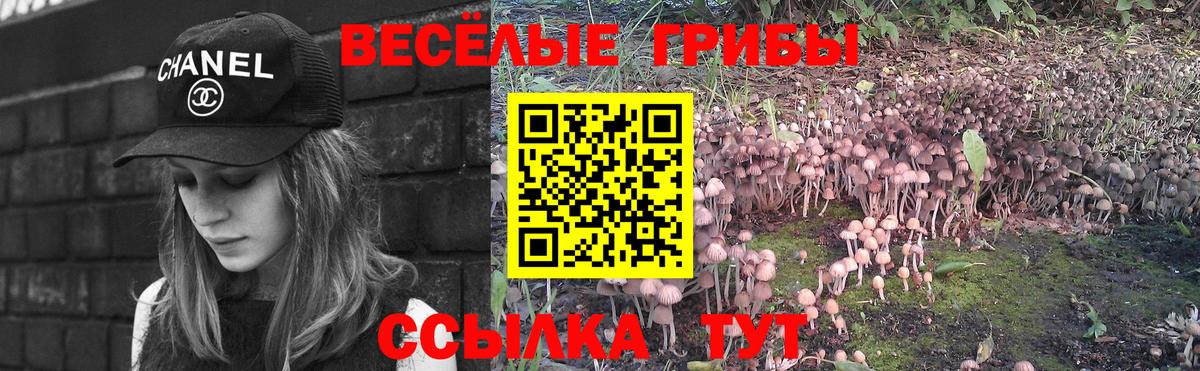 Псилоцибиновые грибы Psilocybe Феодосия