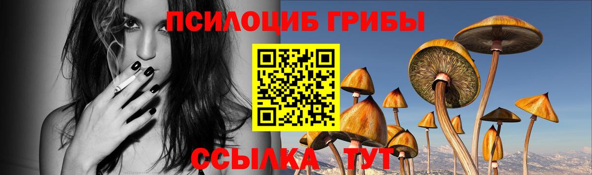 Феодосия  Псилоцибиновые грибы мухоморы  Вход с VPN 